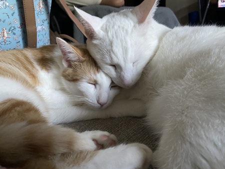 Powder and Malfoy