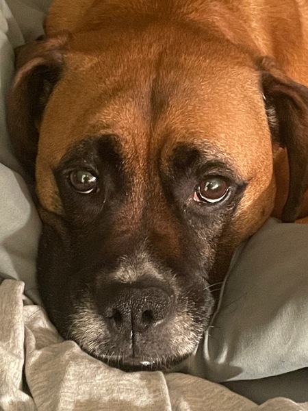 Sadie Jane