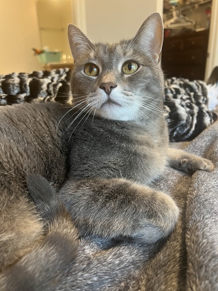 Frankie