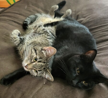 Elsa and Ozzy