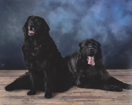 Gia and Buoy