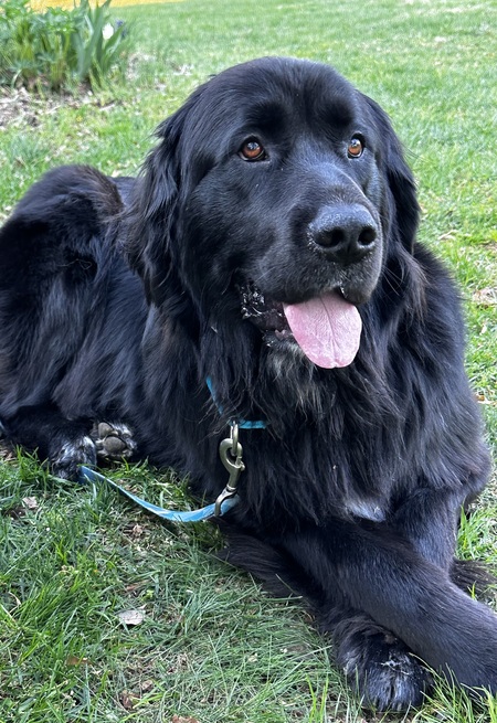 Rosie