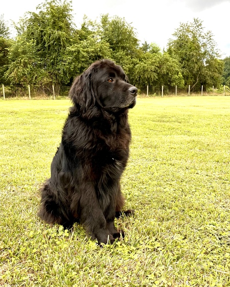 Tucker