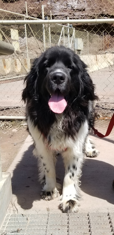 Baxter
