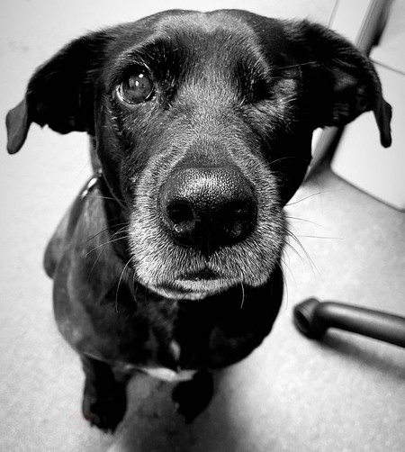Lucy Jane
