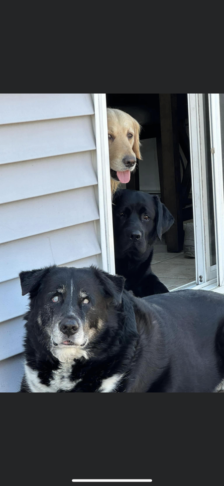 Blu, Bo., Montgomery