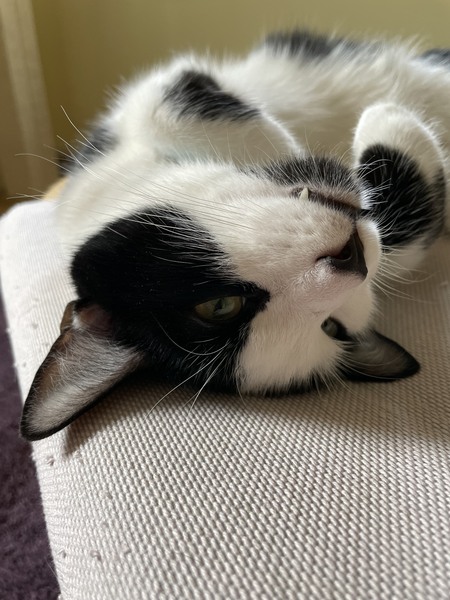 Oliver