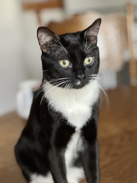 Milo Stolarik 