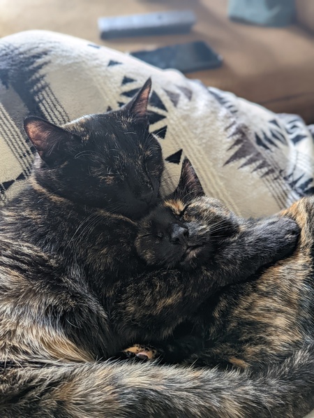 Harper and Hazel Mae