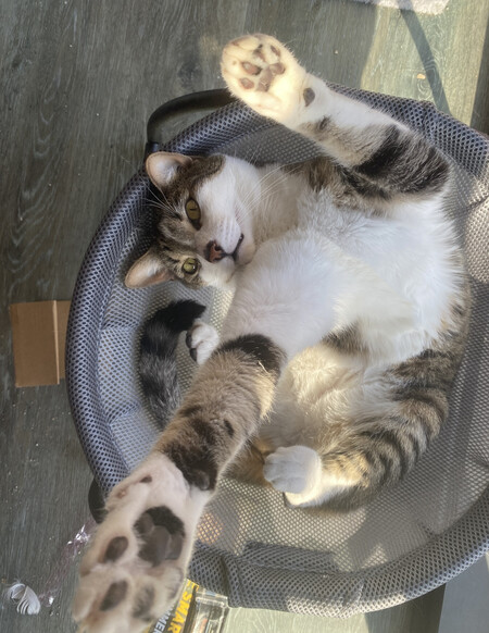 Hamlet