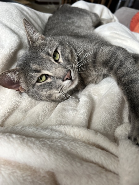 Leo