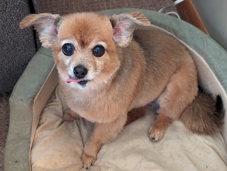 Abby