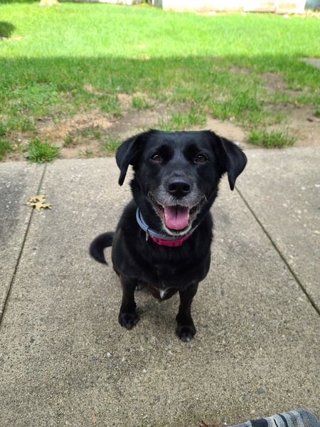 Marley