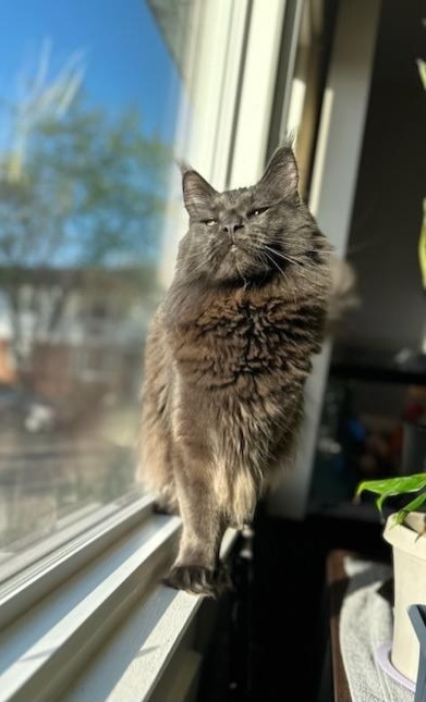 Jax