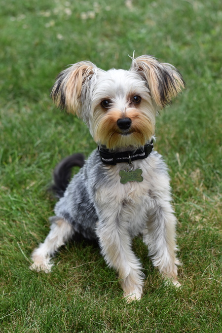 Coco