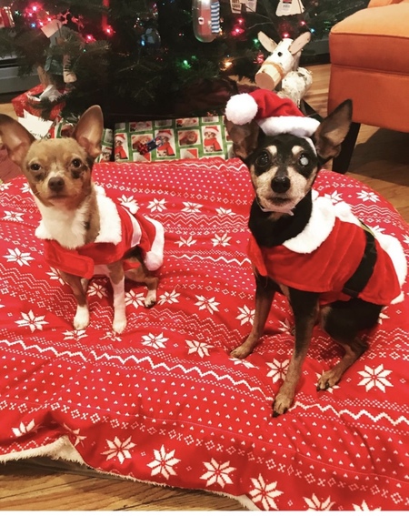 Sierra & Minnie 