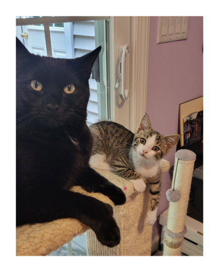 Poe & Cleopatra 