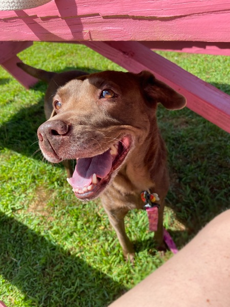Delilah