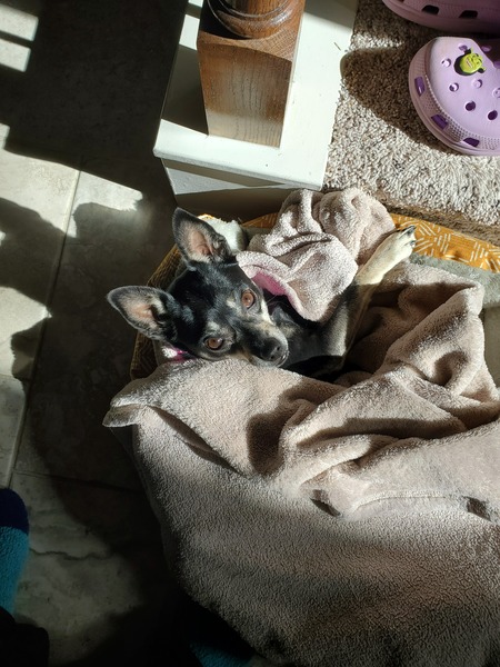 Zoey