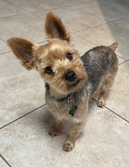 Charlie