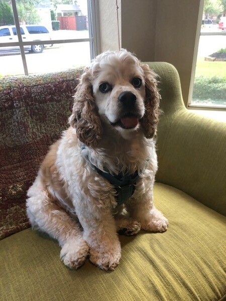 Bailey
