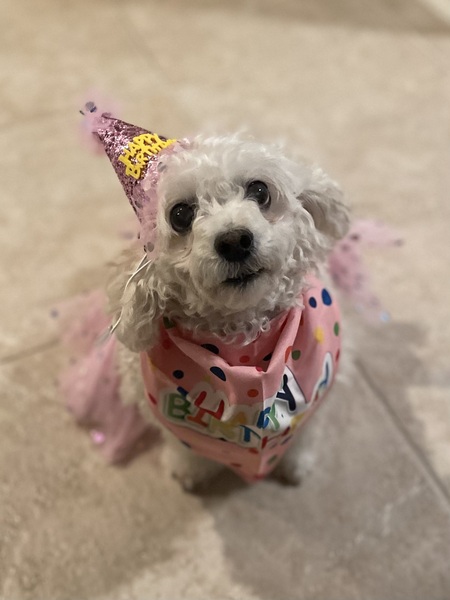 Peanut