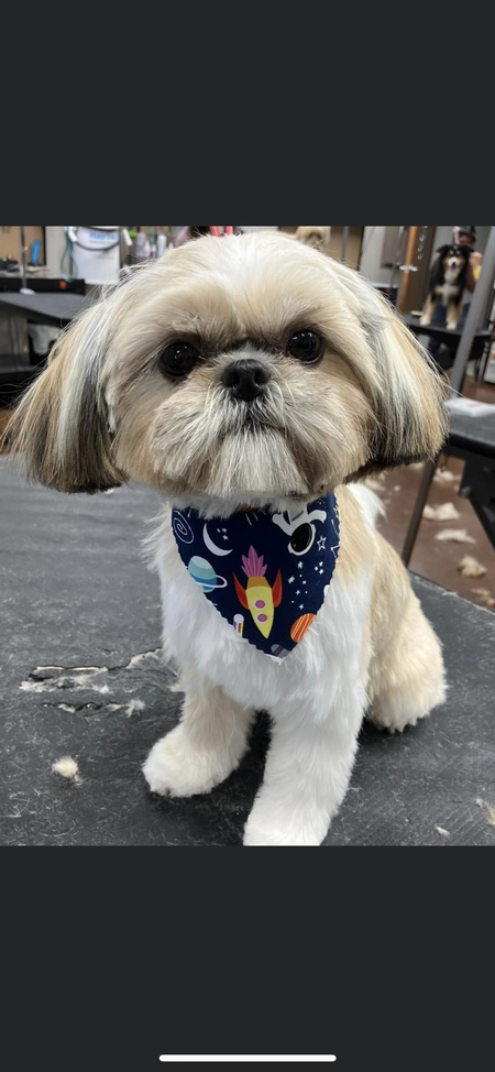 Charlie