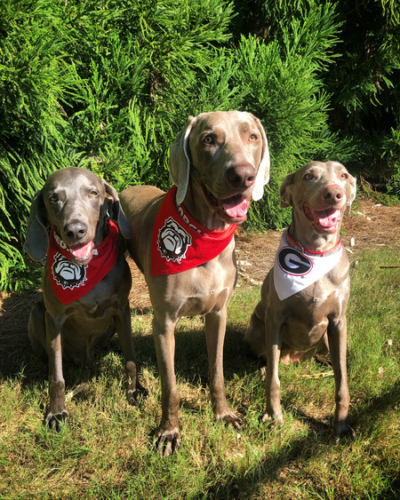 Charlie, Dooley & Piper