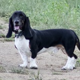 Entry image for Mr. BoJangles