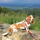 Entry image for Hazel Mae