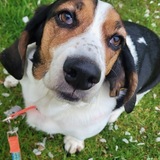 Entry image for Wally