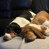 Entry image for Walter & Wilma