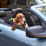 Entry image for Sophie