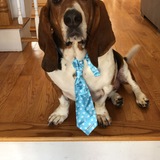 Entry image for Murphy