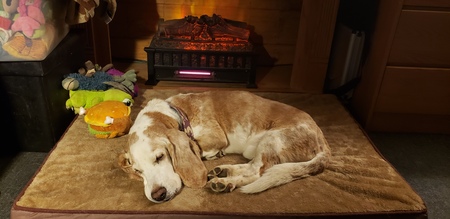 Entry image for Copper. Clicking this image will show a larger photo