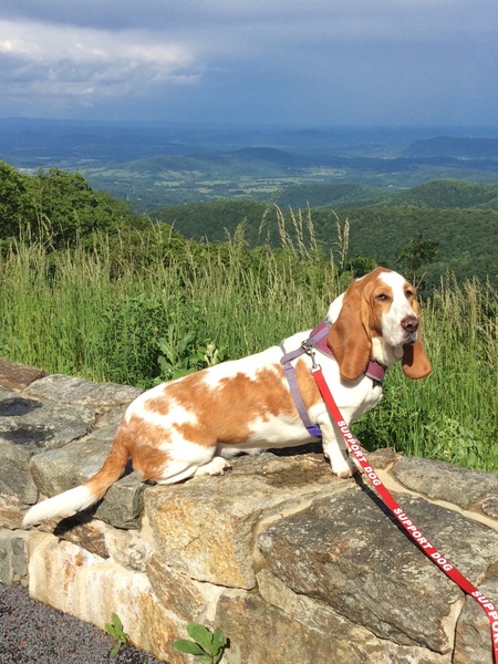 Entry image for Hazel Mae. Clicking this image will show a larger photo