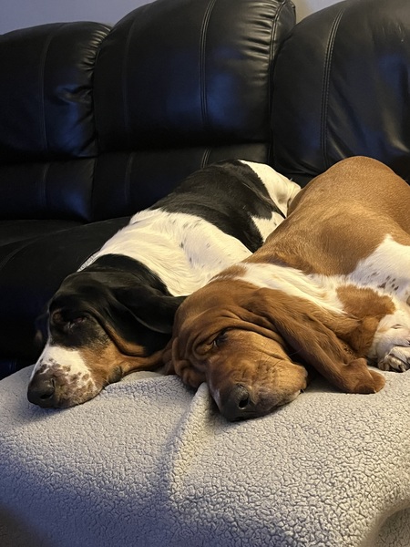 Entry image for Walter & Wilma. Clicking this image will show a larger photo