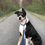 Entry image for Kevin