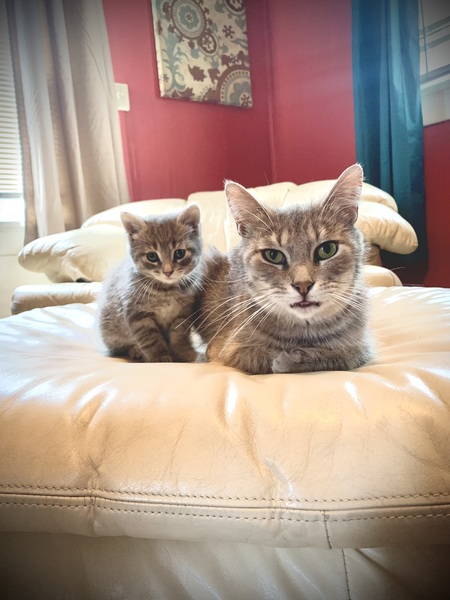 Entry image for Momma & Mini . Clicking this image will show a larger photo