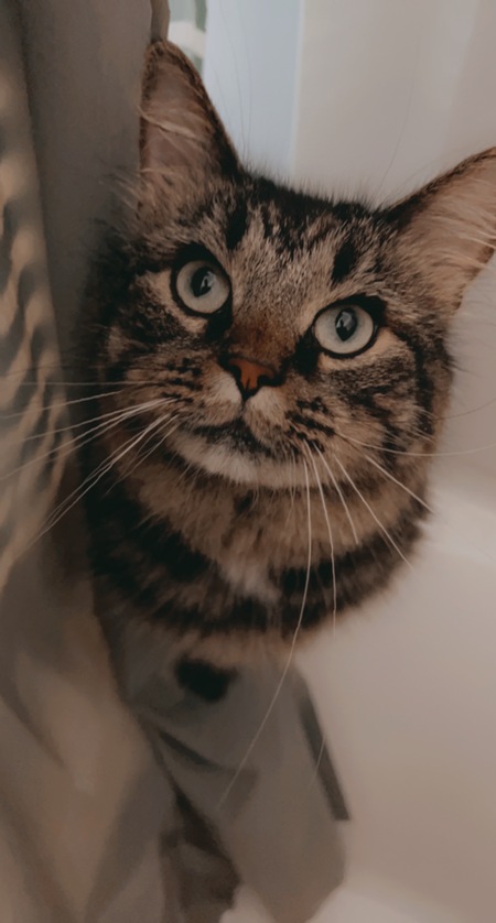 Entry image for Cliff. Clicking this image will show a larger photo
