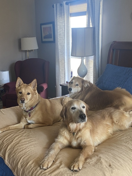 Entry image for Millie, Maggy, Charli—3 AWL alumni . Clicking this image will show a larger photo
