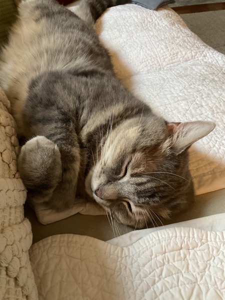 Max
