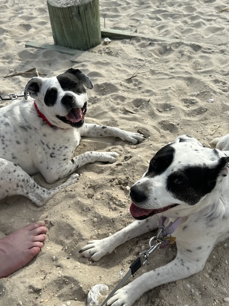 Rosie and Dani