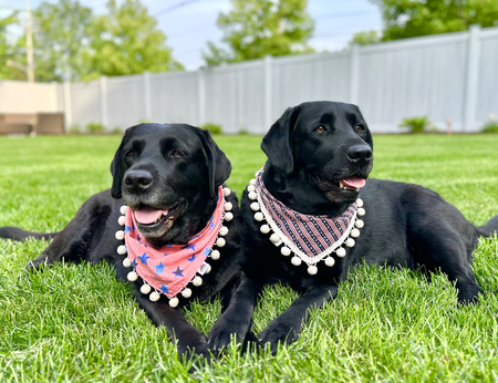 Mimi & Cami