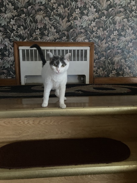 Lucy 