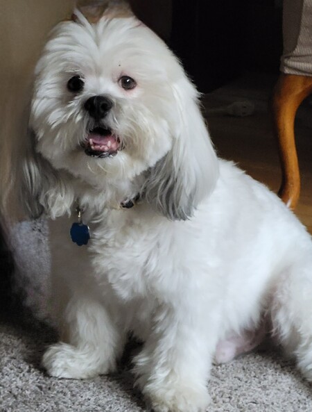 Winston