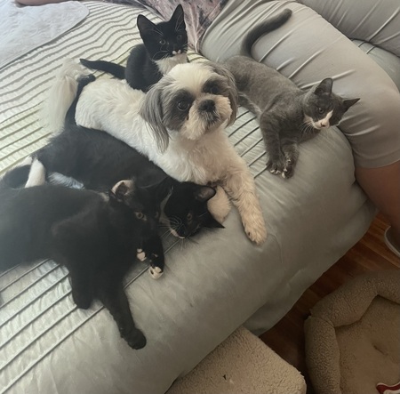 Max with brothers and sisters