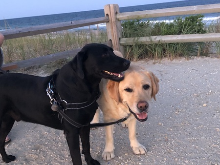 George and Sam