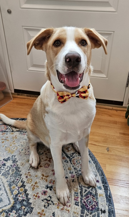 Milo