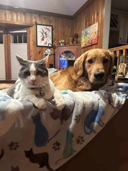 Shadow, Benji